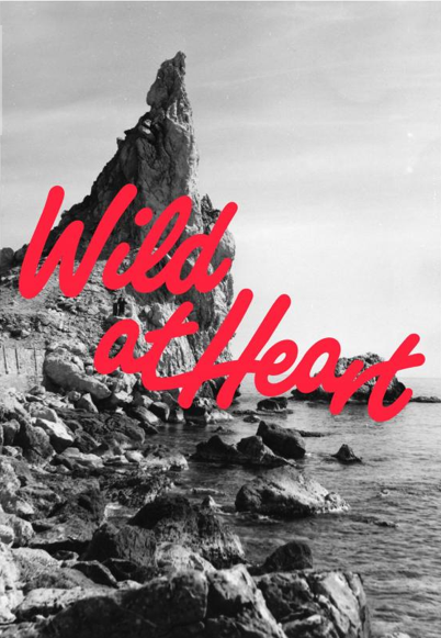 Wild at Heart MGMT